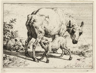 Lamba by Adriaen van de Velde