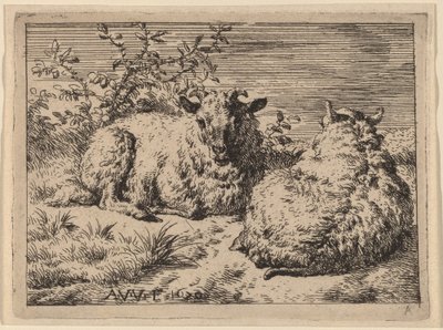İki Yaslanmış Koyun by Adriaen van de Velde