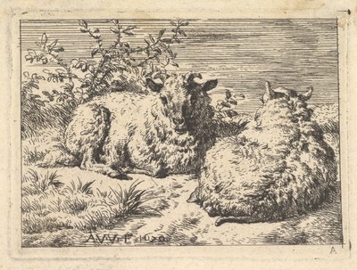 İki Yaslanmış Koyun, 1670. by Adriaen van de Velde