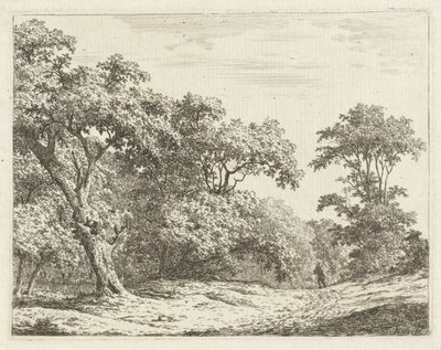 Ağaçlar ve yolda bir adam ile manzara by Adrianus Serné