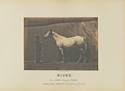 Bijou by Adrien Alban Tournachon
