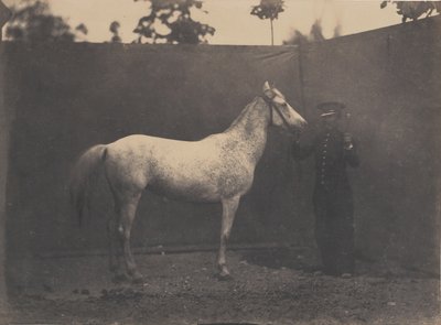 Paskalin, yaklaşık 1855-60. by Adrien Alban Tournachon