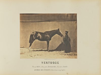 Vertuose