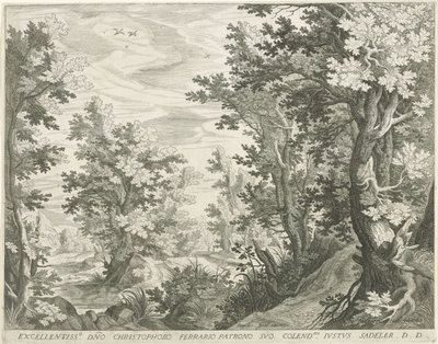 orman manzarası by Egidius  Sadeler (II)
