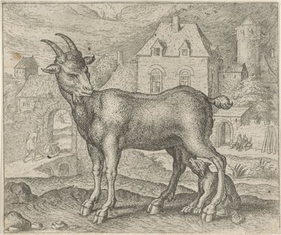 Keçi ve Genç Kurt Masalı by Egidius  Sadeler (II)