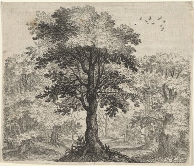 Karaağaç ve Meşe Masalı by Egidius  Sadeler (II)
