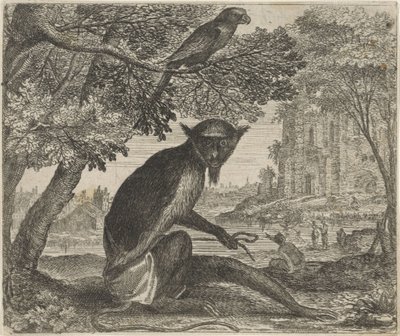 Papağan ve Maymun Masalı by Egidius  Sadeler (II)