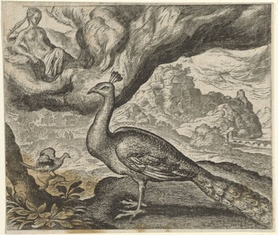 Tavus Kuşu ve Bülbül Masalı by Egidius  Sadeler (II)