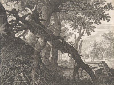 Tavşan Avı Olan Bir Orman,.n.d. by Aegidius Sadeler II