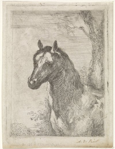 at kafası by Aert Schouman (signed by artist)