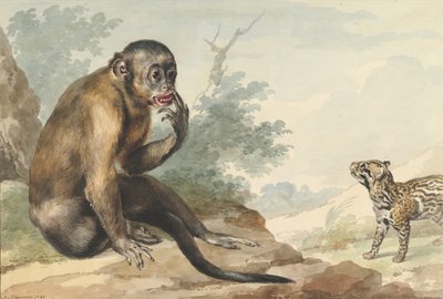 Kayanın Üzerinde Oturmuş Misk Kedisine Bakan Maymun, 1764. by Aert Schouman
