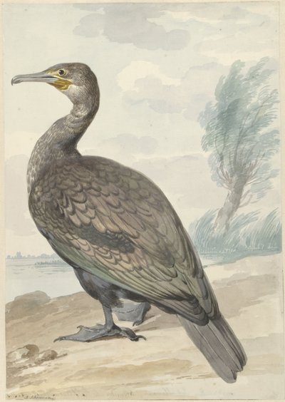 Karabatak by Aert Schouman