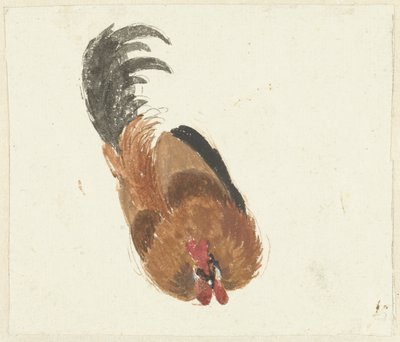 Ölü bir horozun incelenmesi by Aert Schouman