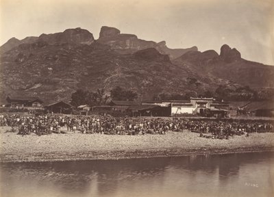 Ördek Pazarı, ca. 1869. by Afong Lai