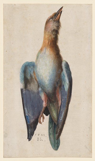 Ölü Mavi Silindir by After Albrecht Dürer