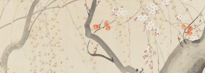 Dört Mevsim Çiçekleri, 1815. by after Sakai Hōitsu