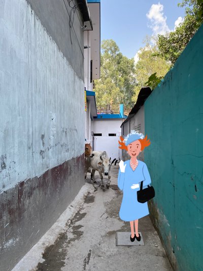 Kraliçe, 2023 (fotoğraf üzerine dijital sanat) by Agnes Girardon