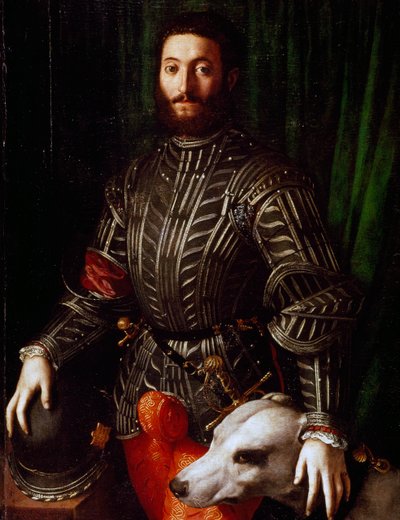 Portrait of Guidobaldo II della Rovere (Urbino, Pesaro-1514 by Agnolo Bronzino