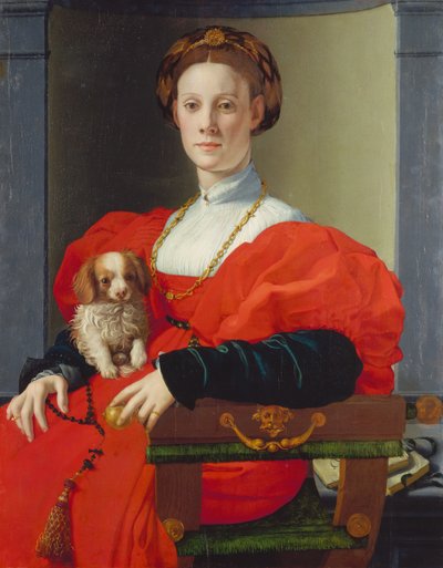 Kırmızılı Kadın Portresi , c.1533 (kavak üzerine karışık teknik) by Agnolo di Cosimo Bronzino