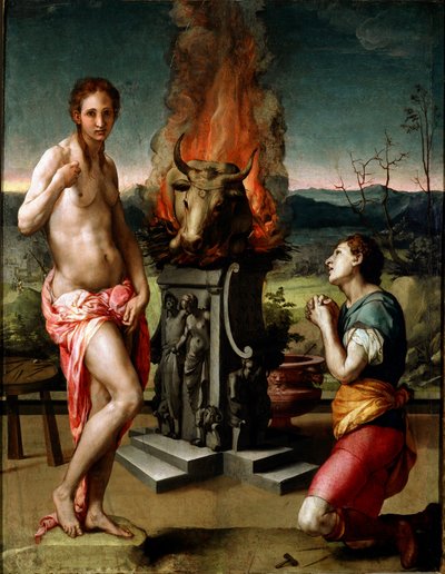 Pygmalion ve Galatee (veya Galathee) Tablo Agnolo di Cosimo di Mariano dit Il Bronzino (1502-1572) 1529-1530 Güneş 81x63 cm Floransa, Uffizi Galerisi (Musee des Uffizi) by Agnolo Bronzino