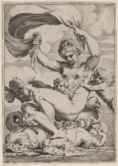 Yunuslar Tarafından Desteklenen Venüs veya Galatea by Agostino Carracci