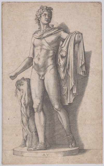 Apollon, yaklaşık 1514-36. by Agostino Veneziano