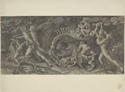 Het karkas The stregozzo by Agostino Veneziano