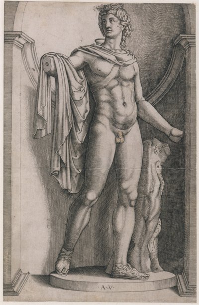 Roma ihtişamının aynası: Apollo Belvedere, yaklaşık. 1514-36, yaklaşık 1514-36. by Agostino Veneziano