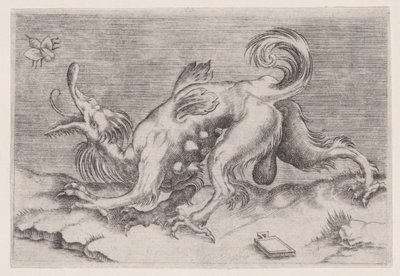 Ejderha ve Arı, ca. 1514-36. by Agostino Veneziano