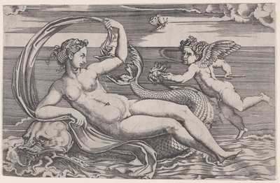 Yunus Üzerine Yatan Venüs, yakl. 1516. by Agostino Veneziano