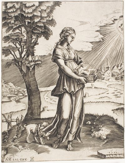 Cumali Sybil by Agostino dei Musi