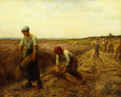 biçerdöverler, by Aime Perret