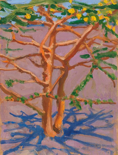  by Akseli Valdemar Gallen-Kallela