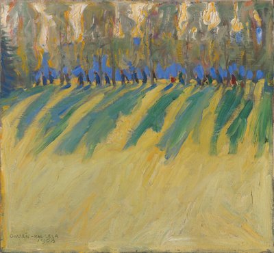  by Akseli Valdemar Gallen-Kallela