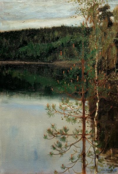 Bir göl manzarası by Akseli Valdemar Gallen-Kallela