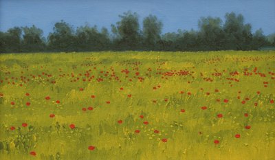 Haşhaşlı Sarı Alan, 2002 by Alan Byrne