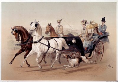 Bir Victoria Arabası ve Tarbes