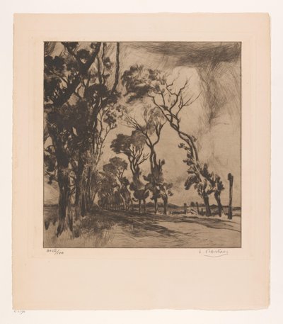 Oostende'ye doğru cadde ile manzara by Albert Baertsoen (signed by artist)