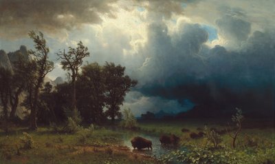 Buffalo Trail: Yaklaşan Fırtına by Albert Bierstadt