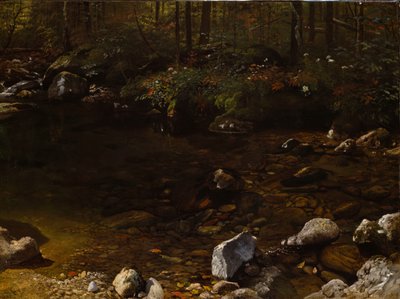 Gölgeli Havuz, Beyaz Dağlar, New Hampshire, c. 1869. by Albert Bierstadt