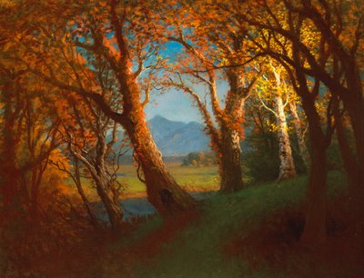 Nebraska Bölgesi