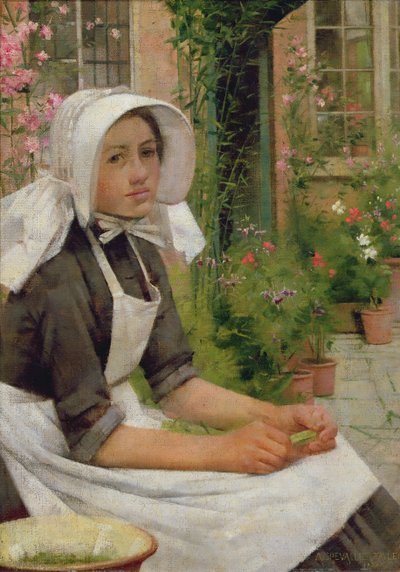 Kız Bombardımanı Bezelye by Albert Chevallier Tayler