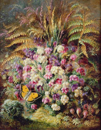 Çan Heather, 1877 by Albert Durer Lucas