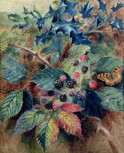 Bir Kelebek ile böğürtlen ve Holly by Albert Durer Lucas