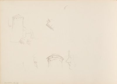 Bitki tasarımları, Savonlinna Kulesi by Albert Edelfelt