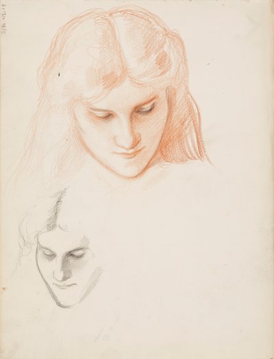 Bir kadının yüzü by Albert Edelfelt