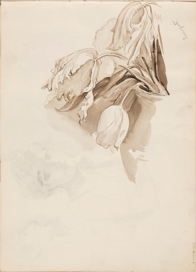 Laleler by Albert Edelfelt