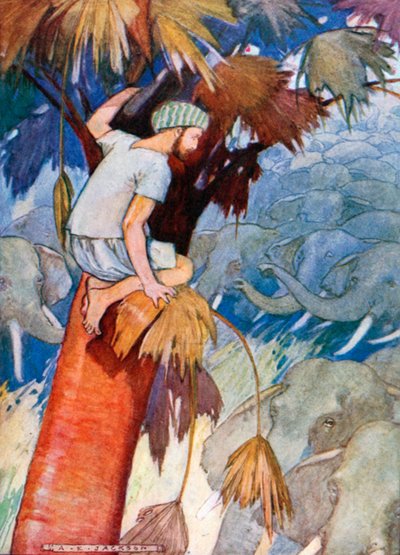  by Albert Edward Jackson