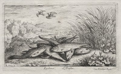 Tatlı Su Balığı, Bölüm II: Epelanus, L'Esplan by Albert Flamen