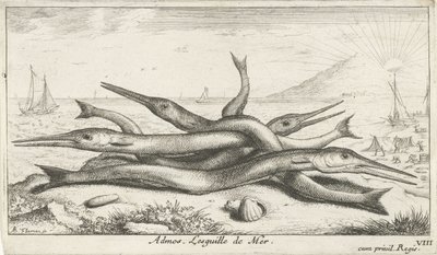 Sahilde kalem Admos. Lesguille de Mer. (nesne üzerindeki başlık) Balık ve diğer deniz canlıları - tuzlu su üçüncü serisi (dizi başlığı) Poissons de mer (dizi adı) by Albert Flamen